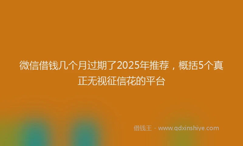 微信借钱几个月过期了2025年推荐，概括5个真正无视征信花的平台