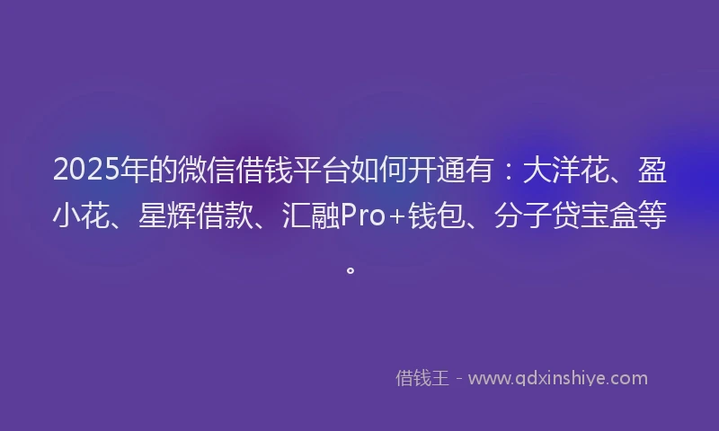 2025年的微信借钱平台如何开通有：大洋花、盈小花、星辉借款、汇融Pro+钱包、分子贷宝盒等。