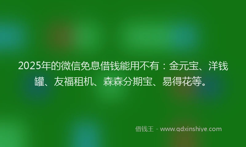 2025年的微信免息借钱能用不有：金元宝、洋钱罐、友福租机、森森分期宝、易得花等。
