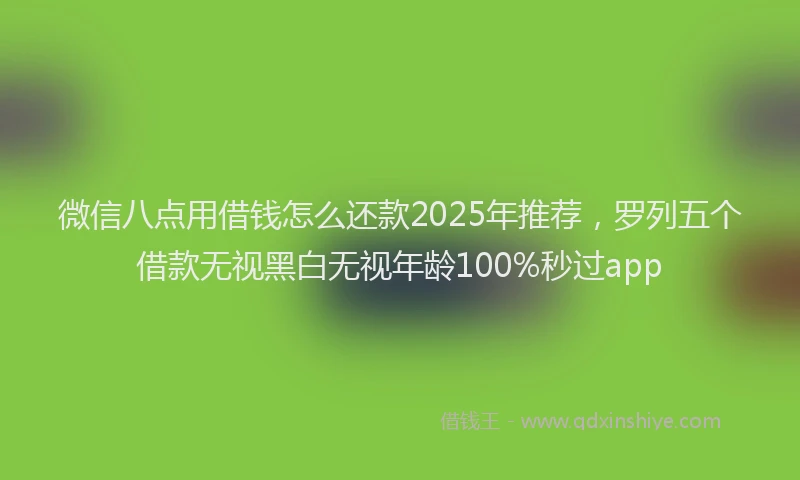 微信八点用借钱怎么还款2025年推荐，罗列五个借款无视黑白无视年龄100%秒过app