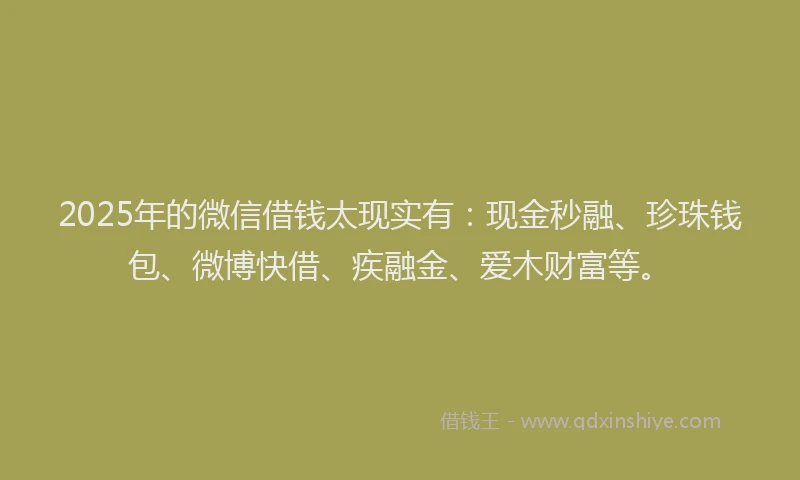 2025年的微信借钱太现实有：现金秒融、珍珠钱包、微博快借、疾融金、爱木财富等。