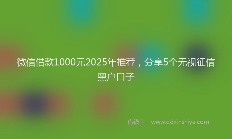 微信借款1000元2025年推荐，分享5个无视征信黑户口子