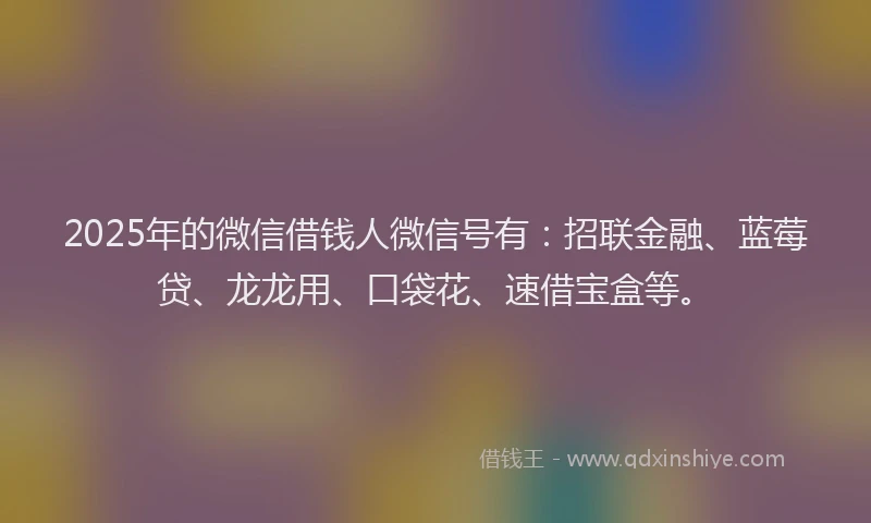 2025年的微信借钱人微信号有：招联金融、蓝莓贷、龙龙用、口袋花、速借宝盒等。