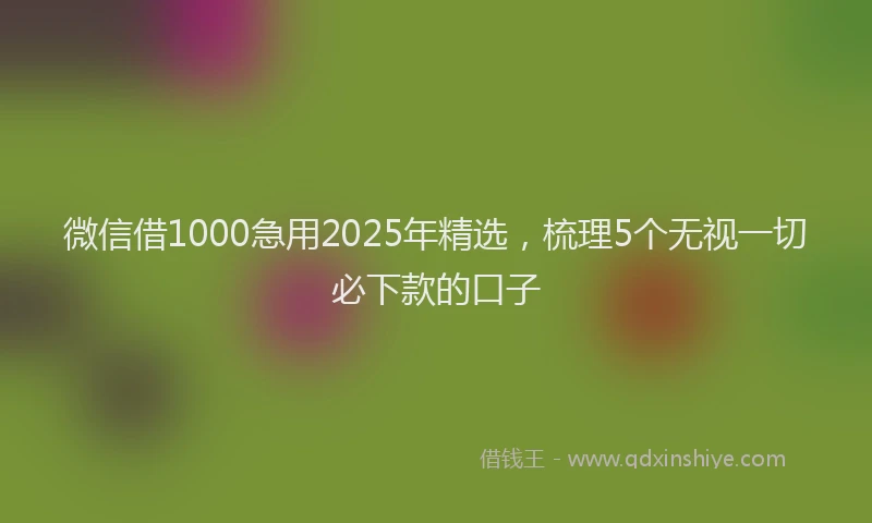 微信借1000急用2025年精选，梳理5个无视一切必下款的口子