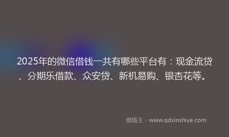 2025年的微信借钱一共有哪些平台有：现金流贷、分期乐借款、众安贷、新机易购、银杏花等。