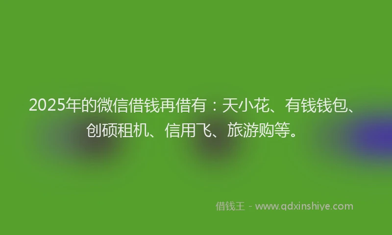 2025年的微信借钱再借有：天小花、有钱钱包、创硕租机、信用飞、旅游购等。