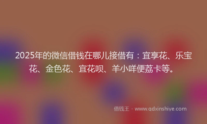 2025年的微信借钱在哪儿接借有：宜享花、乐宝花、金色花、宜花呗、羊小咩便荔卡等。