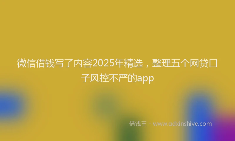 微信借钱写了内容2025年精选，整理五个网贷口子风控不严的app