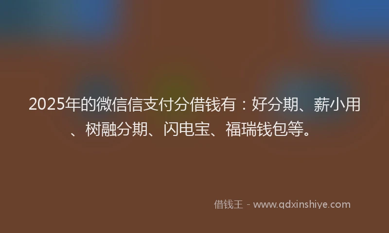 2025年的微信信支付分借钱有：好分期、薪小用、树融分期、闪电宝、福瑞钱包等。
