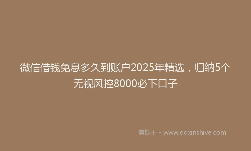 微信借钱免息多久到账户2025年精选，归纳5个无视风控8000必下口子