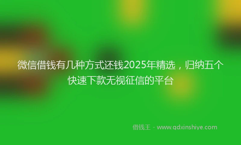 微信借钱有几种方式还钱2025年精选，归纳五个快速下款无视征信的平台