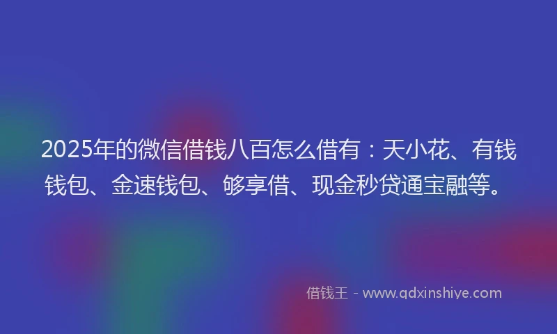 2025年的微信借钱八百怎么借有：天小花、有钱钱包、金速钱包、够享借、现金秒贷通宝融等。
