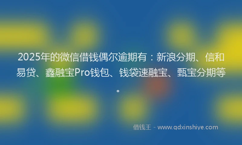 2025年的微信借钱偶尔逾期有：新浪分期、信和易贷、鑫融宝Pro钱包、钱袋速融宝、甄宝分期等。