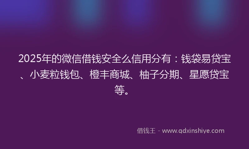 2025年的微信借钱安全么信用分有：钱袋易贷宝、小麦粒钱包、橙丰商城、柚子分期、星愿贷宝等。