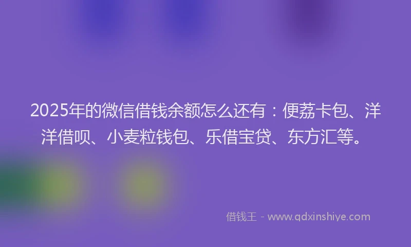 2025年的微信借钱余额怎么还有：便荔卡包、洋洋借呗、小麦粒钱包、乐借宝贷、东方汇等。
