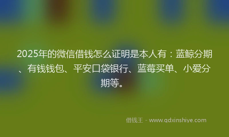 2025年的微信借钱怎么证明是本人有：蓝鲸分期、有钱钱包、平安口袋银行、蓝莓买单、小爱分期等。