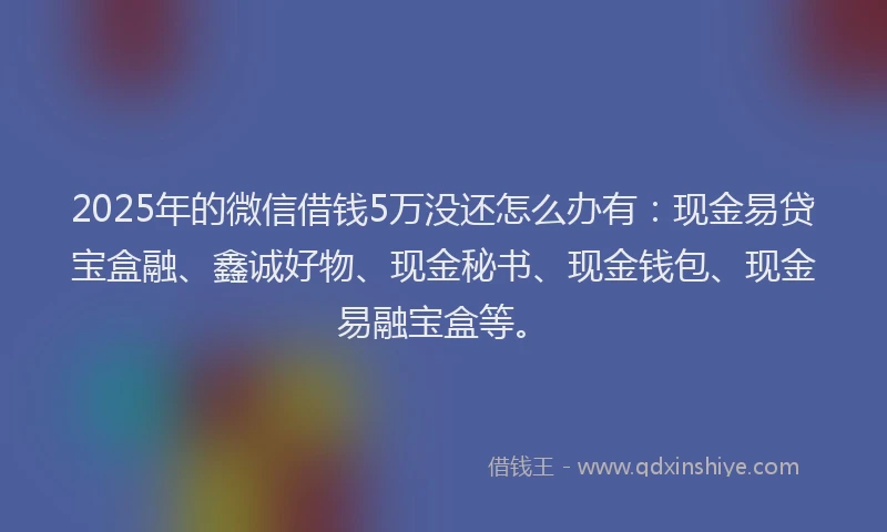 2025年的微信借钱5万没还怎么办有：现金易贷宝盒融、鑫诚好物、现金秘书、现金钱包、现金易融宝盒等。