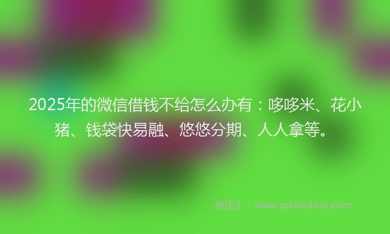 2025年的微信借钱不给怎么办有：哆哆米、花小猪、钱袋快易融、悠悠分期、人人拿等。