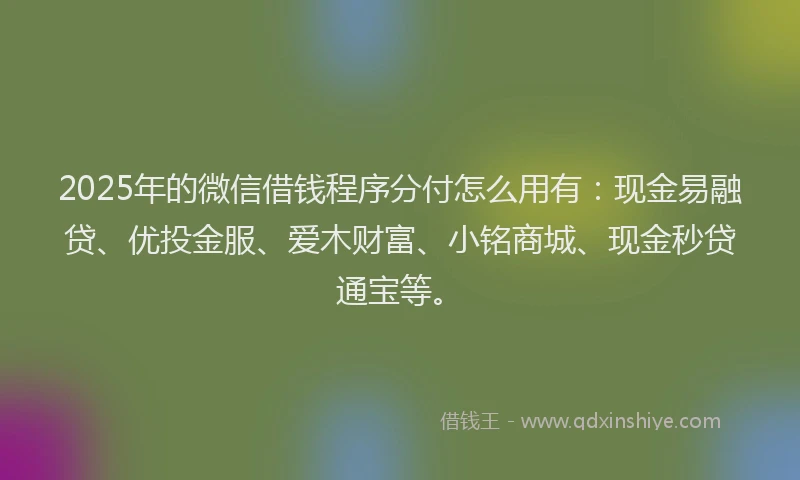 2025年的微信借钱程序分付怎么用有：现金易融贷、优投金服、爱木财富、小铭商城、现金秒贷通宝等。