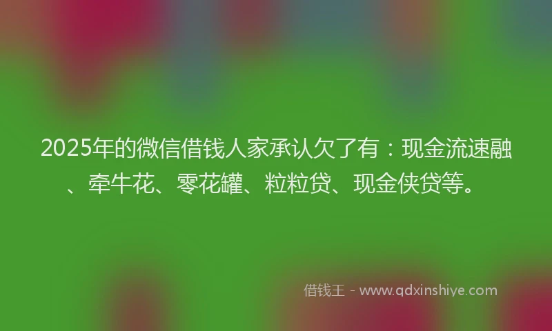2025年的微信借钱人家承认欠了有：现金流速融、牵牛花、零花罐、粒粒贷、现金侠贷等。