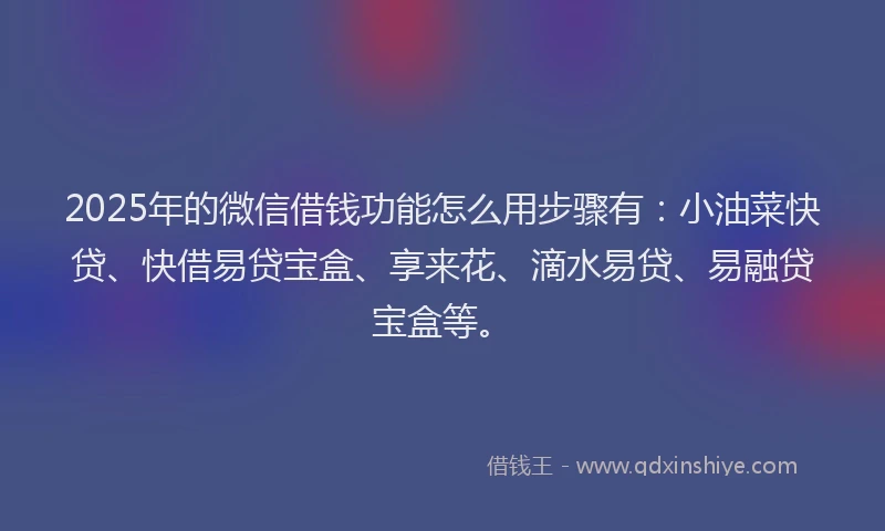 2025年的微信借钱功能怎么用步骤有：小油菜快贷、快借易贷宝盒、享来花、滴水易贷、易融贷宝盒等。