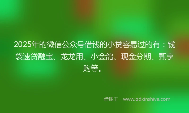 2025年的微信公众号借钱的小贷容易过的有：钱袋速贷融宝、龙龙用、小金鸽、现金分期、甄享购等。