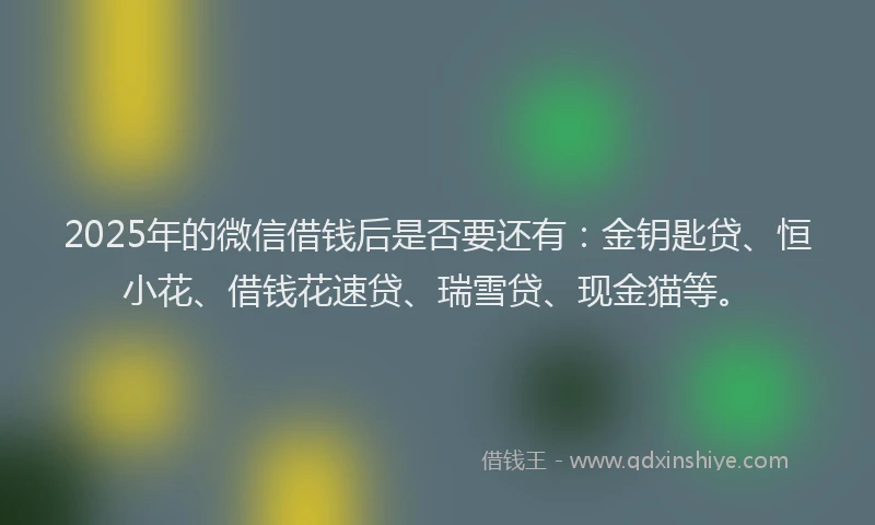2025年的微信借钱后是否要还有：金钥匙贷、恒小花、借钱花速贷、瑞雪贷、现金猫等。