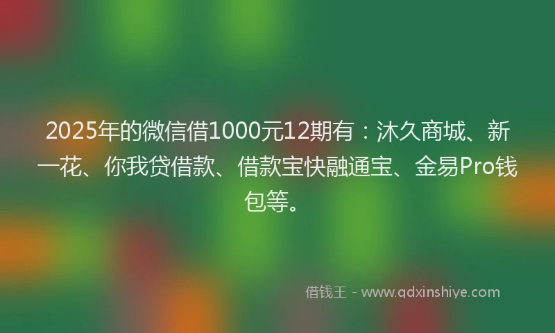 2025年的微信借1000元12期有：沐久商城、新一花、你我贷借款、借款宝快融通宝、金易Pro钱包等。