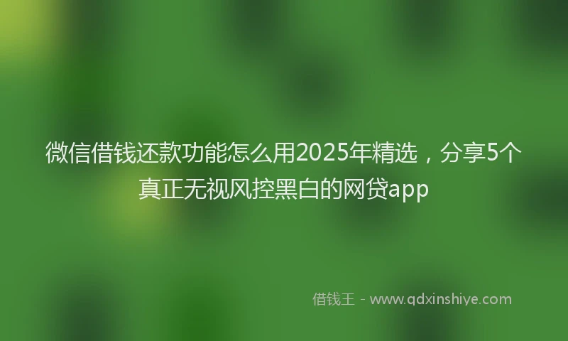 微信借钱还款功能怎么用2025年精选，分享5个真正无视风控黑白的网贷app
