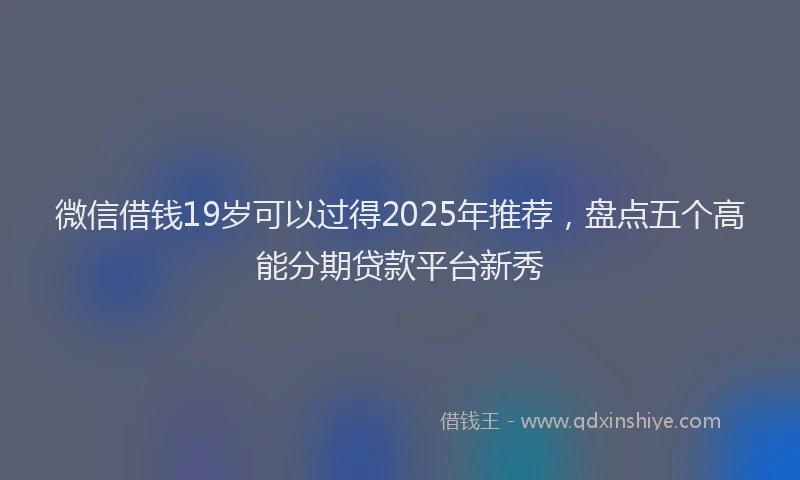 微信借钱19岁可以过得2025年推荐，盘点五个高能分期贷款平台新秀