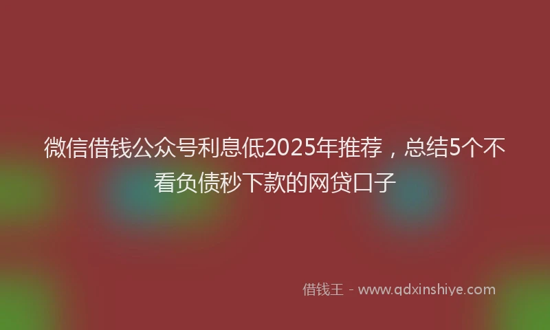 微信借钱公众号利息低2025年推荐，总结5个不看负债秒下款的网贷口子