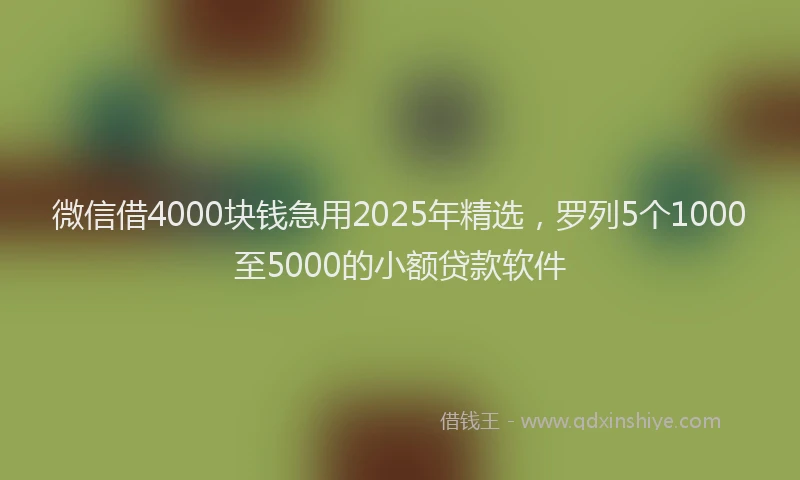 微信借4000块钱急用2025年精选，罗列5个1000至5000的小额贷款软件