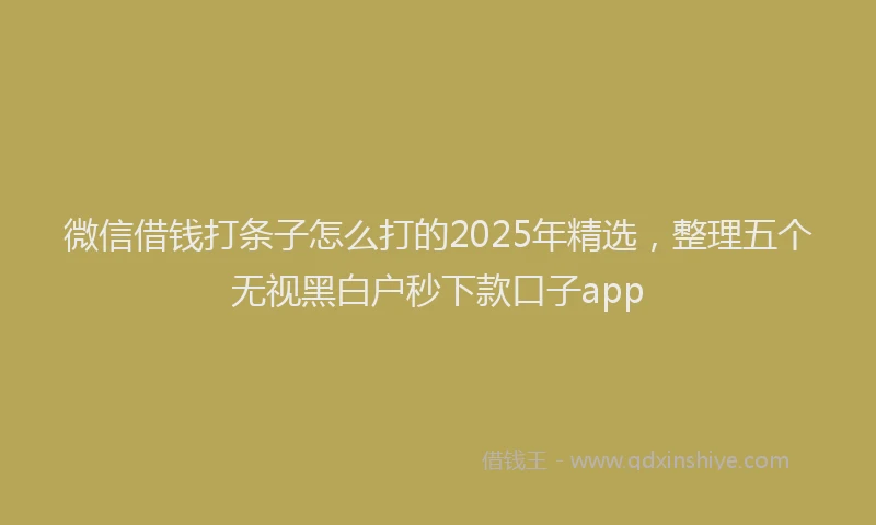 微信借钱打条子怎么打的2025年精选，整理五个无视黑白户秒下款口子app