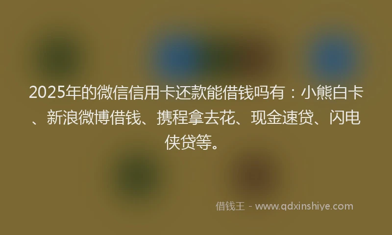 2025年的微信信用卡还款能借钱吗有：小熊白卡、新浪微博借钱、携程拿去花、现金速贷、闪电侠贷等。