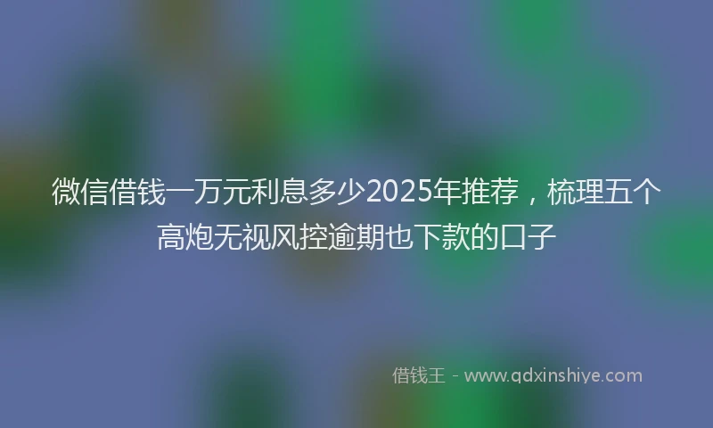 微信借钱一万元利息多少2025年推荐，梳理五个高炮无视风控逾期也下款的口子