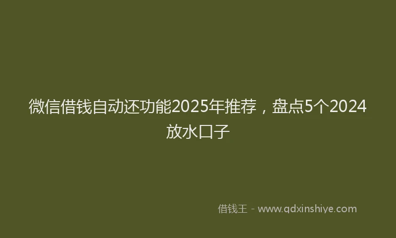 微信借钱自动还功能2025年推荐，盘点5个2024放水口子