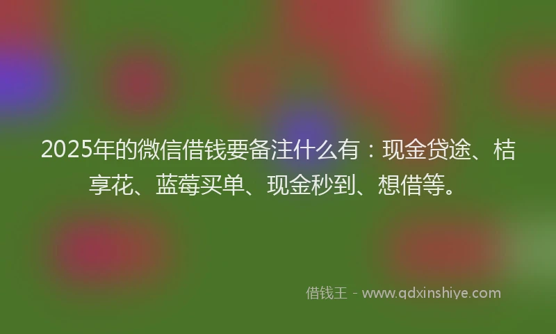 2025年的微信借钱要备注什么有：现金贷途、桔享花、蓝莓买单、现金秒到、想借等。
