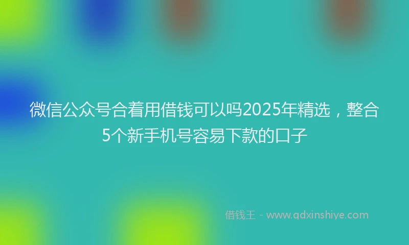 微信公众号合着用借钱可以吗2025年精选，整合5个新手机号容易下款的口子