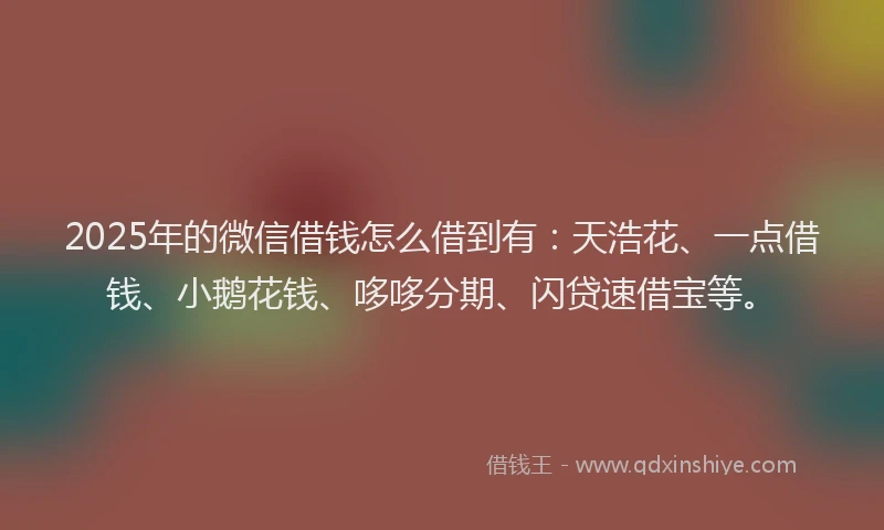 2025年的微信借钱怎么借到有：天浩花、一点借钱、小鹅花钱、哆哆分期、闪贷速借宝等。