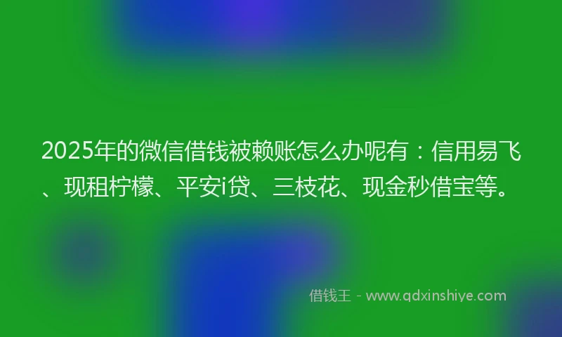 2025年的微信借钱被赖账怎么办呢有：信用易飞、现租柠檬、平安i贷、三枝花、现金秒借宝等。