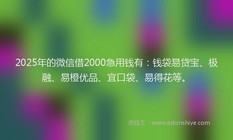 2025年的微信借2000急用钱有：钱袋易贷宝、极融、易橙优品、宜口袋、易得花等。