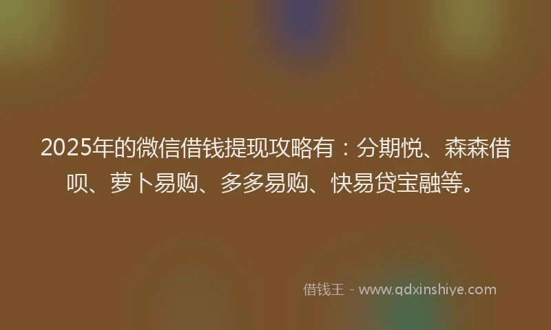 2025年的微信借钱提现攻略有：分期悦、森森借呗、萝卜易购、多多易购、快易贷宝融等。