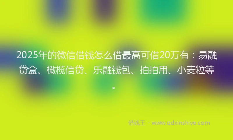 2025年的微信借钱怎么借最高可借20万有：易融贷盒、橄榄信贷、乐融钱包、拍拍用、小麦粒等。