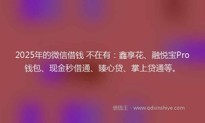 2025年的微信借钱 不在有：鑫享花、融悦宝Pro钱包、现金秒借通、臻心贷、掌上贷通等。