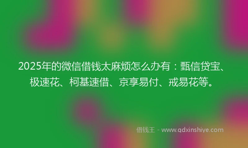 2025年的微信借钱太麻烦怎么办有：甄信贷宝、极速花、柯基速借、京享易付、戒易花等。