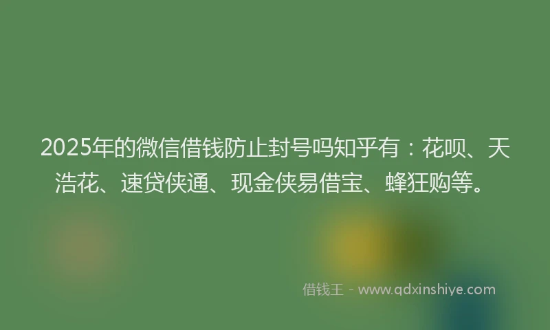 2025年的微信借钱防止封号吗知乎有：花呗、天浩花、速贷侠通、现金侠易借宝、蜂狂购等。