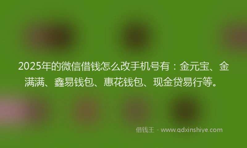 2025年的微信借钱怎么改手机号有：金元宝、金满满、鑫易钱包、惠花钱包、现金贷易行等。