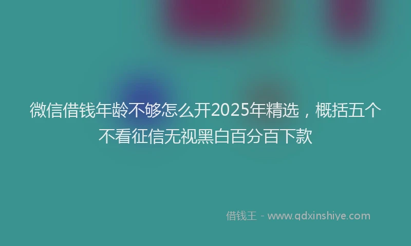 微信借钱年龄不够怎么开2025年精选，概括五个不看征信无视黑白百分百下款