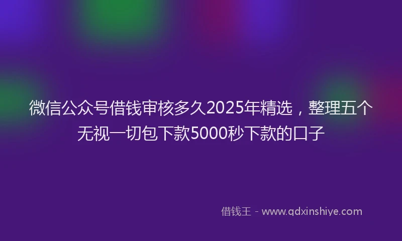 微信公众号借钱审核多久2025年精选，整理五个无视一切包下款5000秒下款的口子