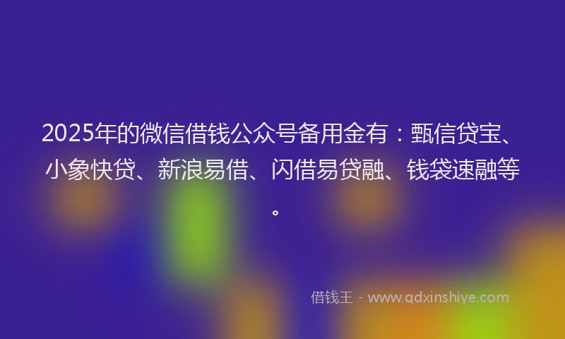 2025年的微信借钱公众号备用金有：甄信贷宝、小象快贷、新浪易借、闪借易贷融、钱袋速融等。